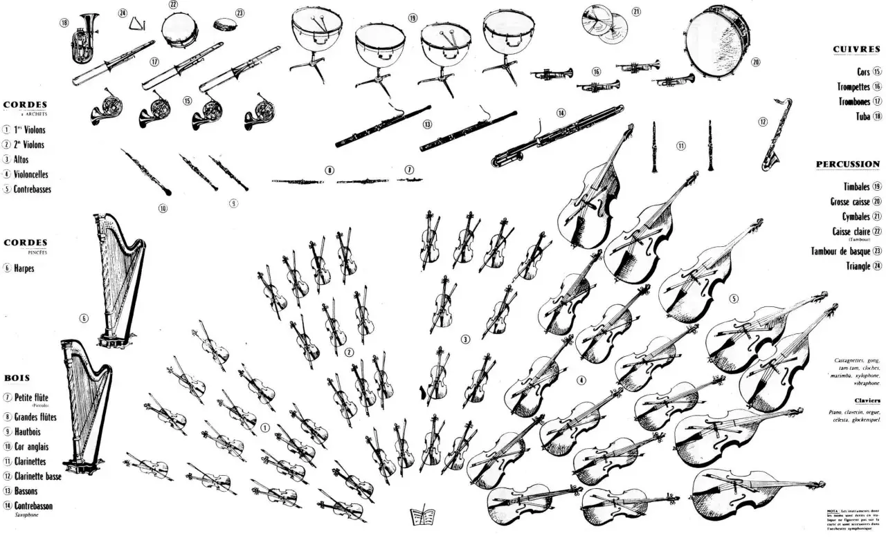 Disposition d'un orchestre symphonique : cordes, bois, cuivres, percussions et harpes.
