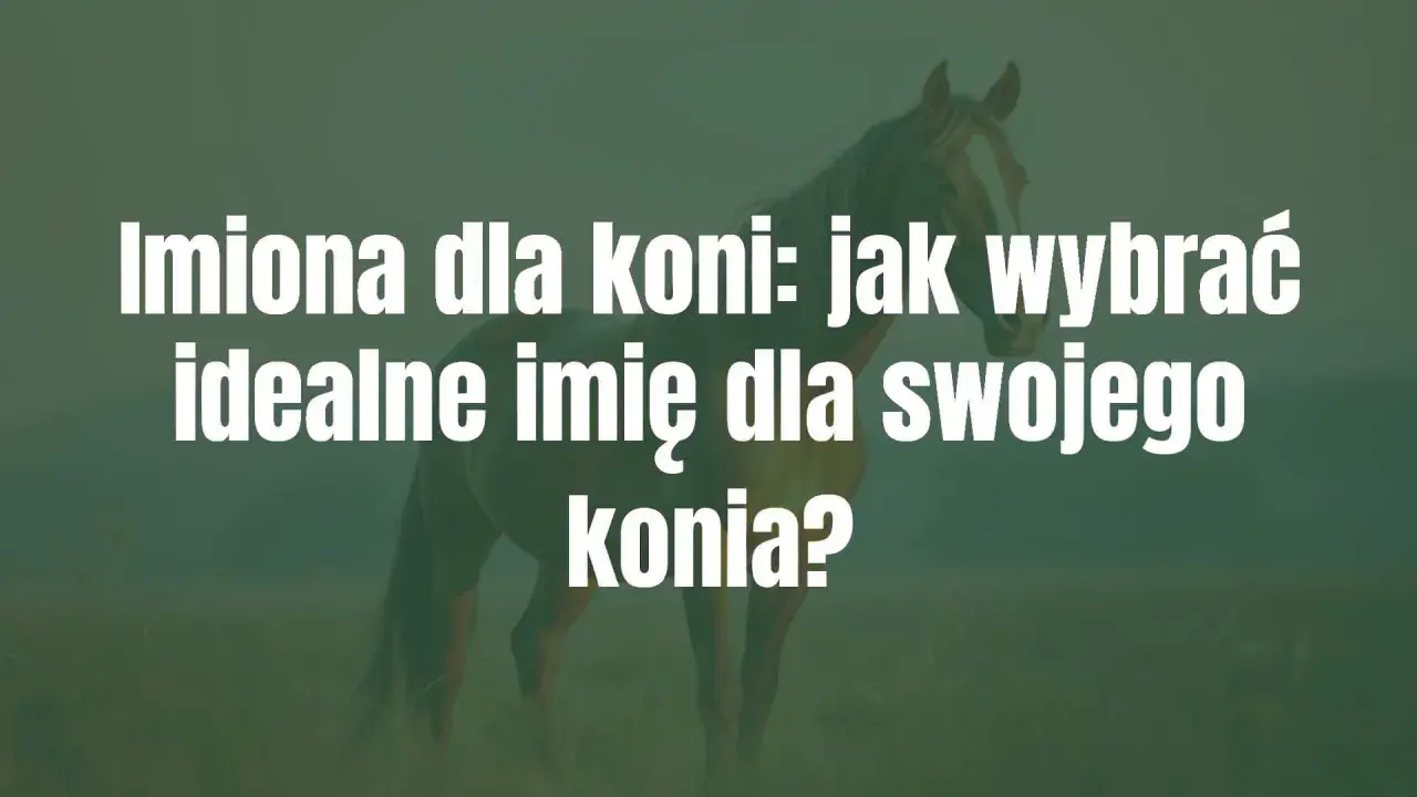 Imiona dla koni: jak wybrać idealne imię dla swojego konia? Biały tekst na tle konia.