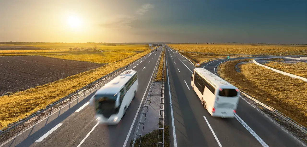 Dwa białe autobusy jadące po autostradzie w słoneczny dzień, otoczone polami.