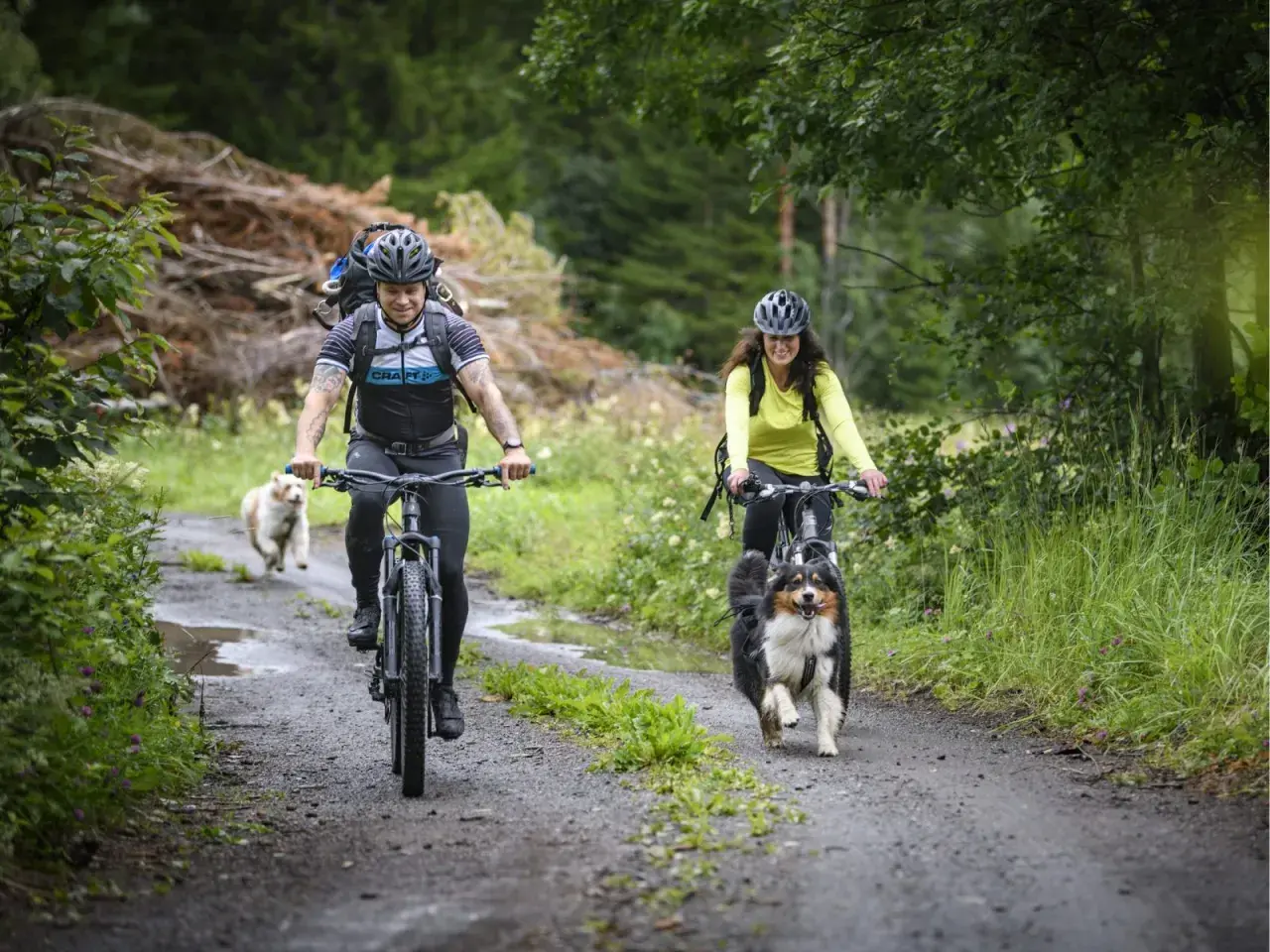 Två cyklister med hundar på en grusväg längs St. Olavsleden.