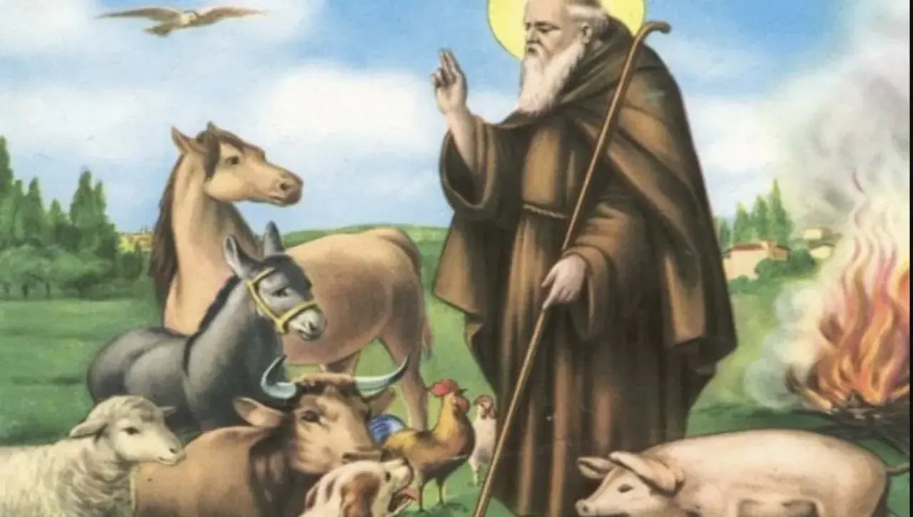 Santo con maiale ai piedi, circondato da animali. Un santo con barba bianca benedice, con un maiale rosa ai suoi piedi, circondato da pecore, mucche, galli, un asino e un cavallo.
