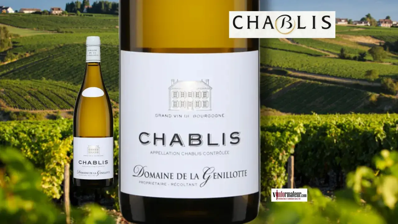 Bouteille de chablis vin blanc sec ou moelleux, devant un vignoble verdoyant.
