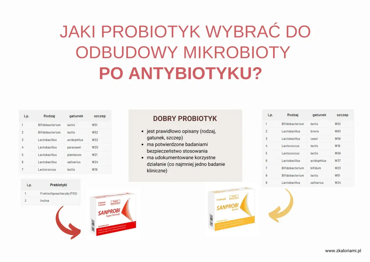 Jaki probiotyk wybrać po antybiotyku? Tabela szczepów bakterii i prebiotyków, a także opakowania Sanprobi.