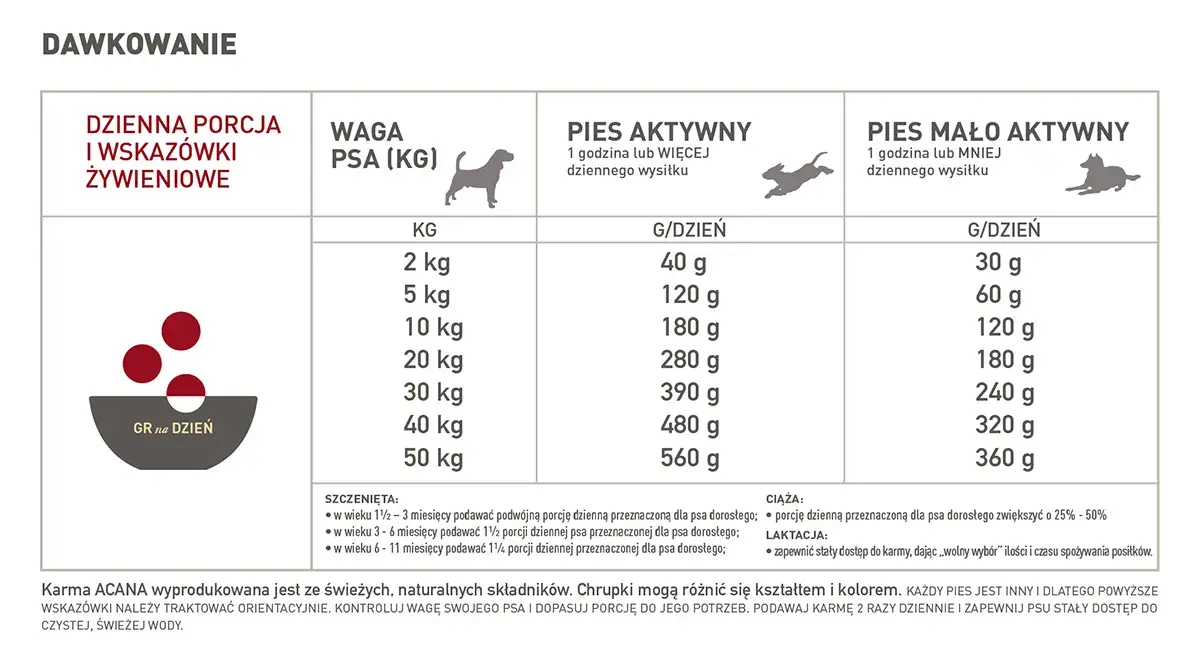 Ile mokrej karmy dla psa tabela - uniknij błędów w karmieniu psa