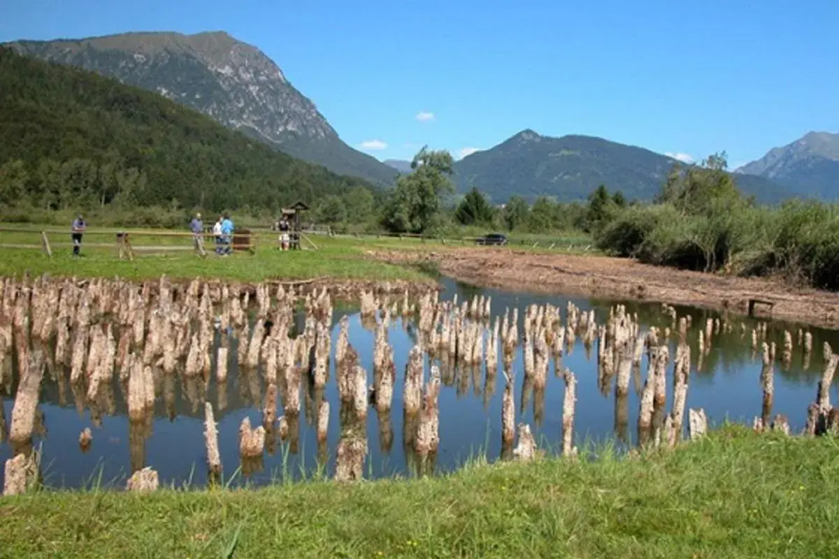 Antiche palafitte bardolino emergono da uno specchio d'acqua, con montagne verdi sullo sfondo.