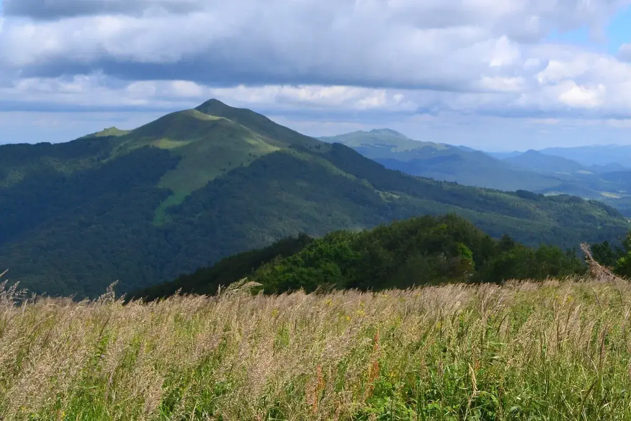 Łąka pełna traw na pierwszym planie, za nią zielone wzgórza i góry, idealne na połonina caryńska trasę.