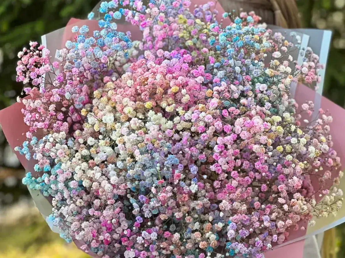 Kolorowa gipsówka hurtowa, idealna na bukiety. Delikatne kwiaty w pastelowych odcieniach różu, błękitu i bieli.