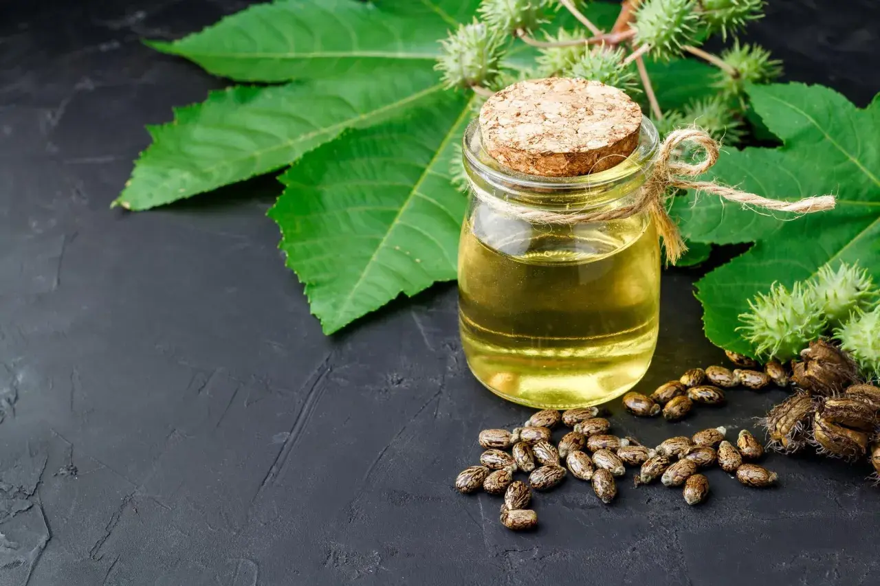 Aceite de ricino para el pelo en un frasco, rodeado de semillas y hojas de ricino.
