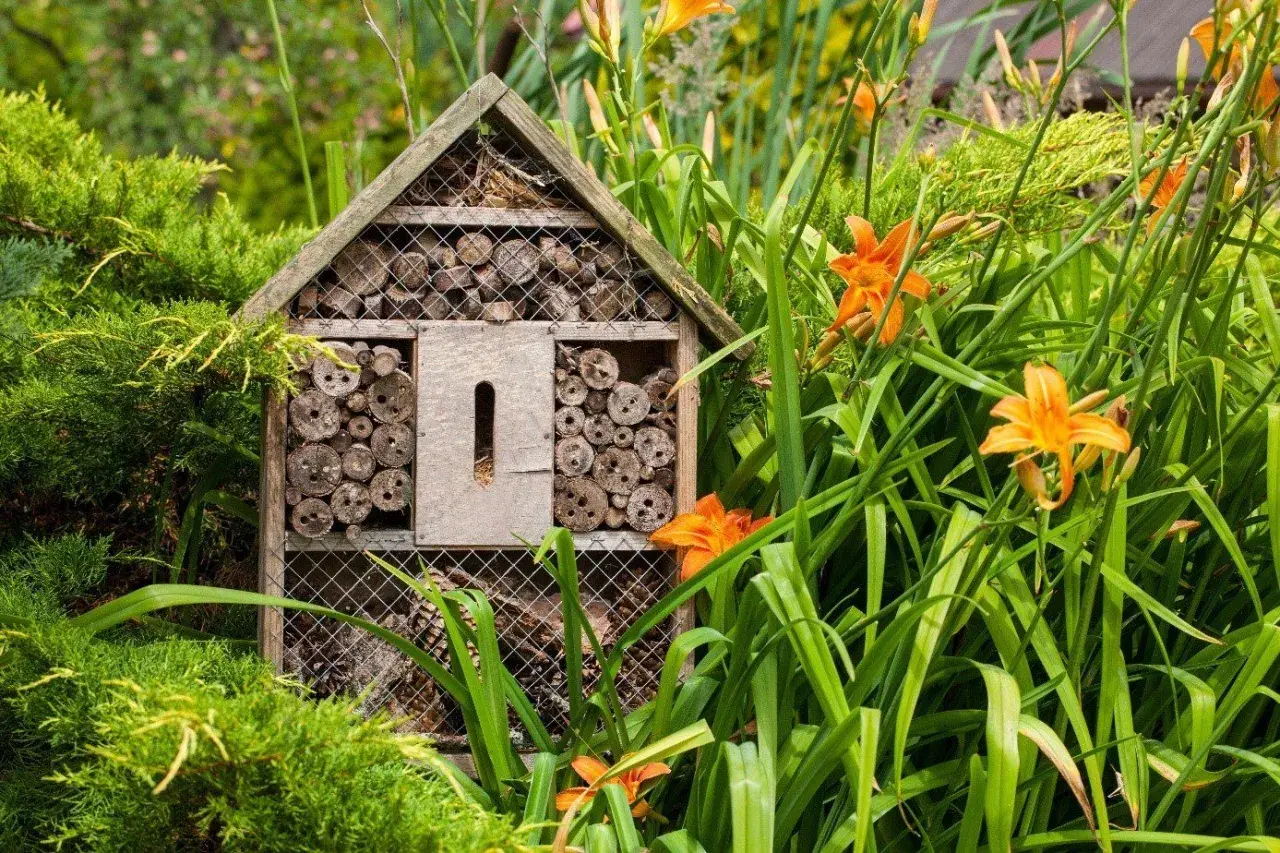 Ett insektshotell i trä, fyllt med träbitar och kvistar, står i en lummig trädgård bland gröna blad och orange liljor. Perfekt insektshotell placering för att locka pollinerare.