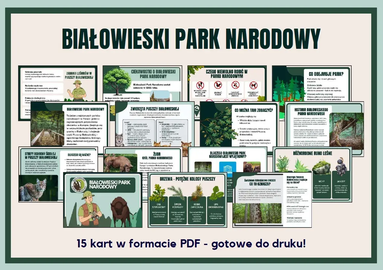 Grafika informacyjna o Białowieskim Parku Narodowym z ilustracjami zwierząt, drzew i mapą.