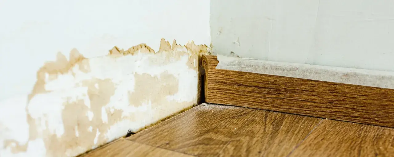 Feuchte Wand mit abblätternder Farbe und Holzleiste. Maßnahmen zur kapillarwirkung verhindern sind hier nötig.