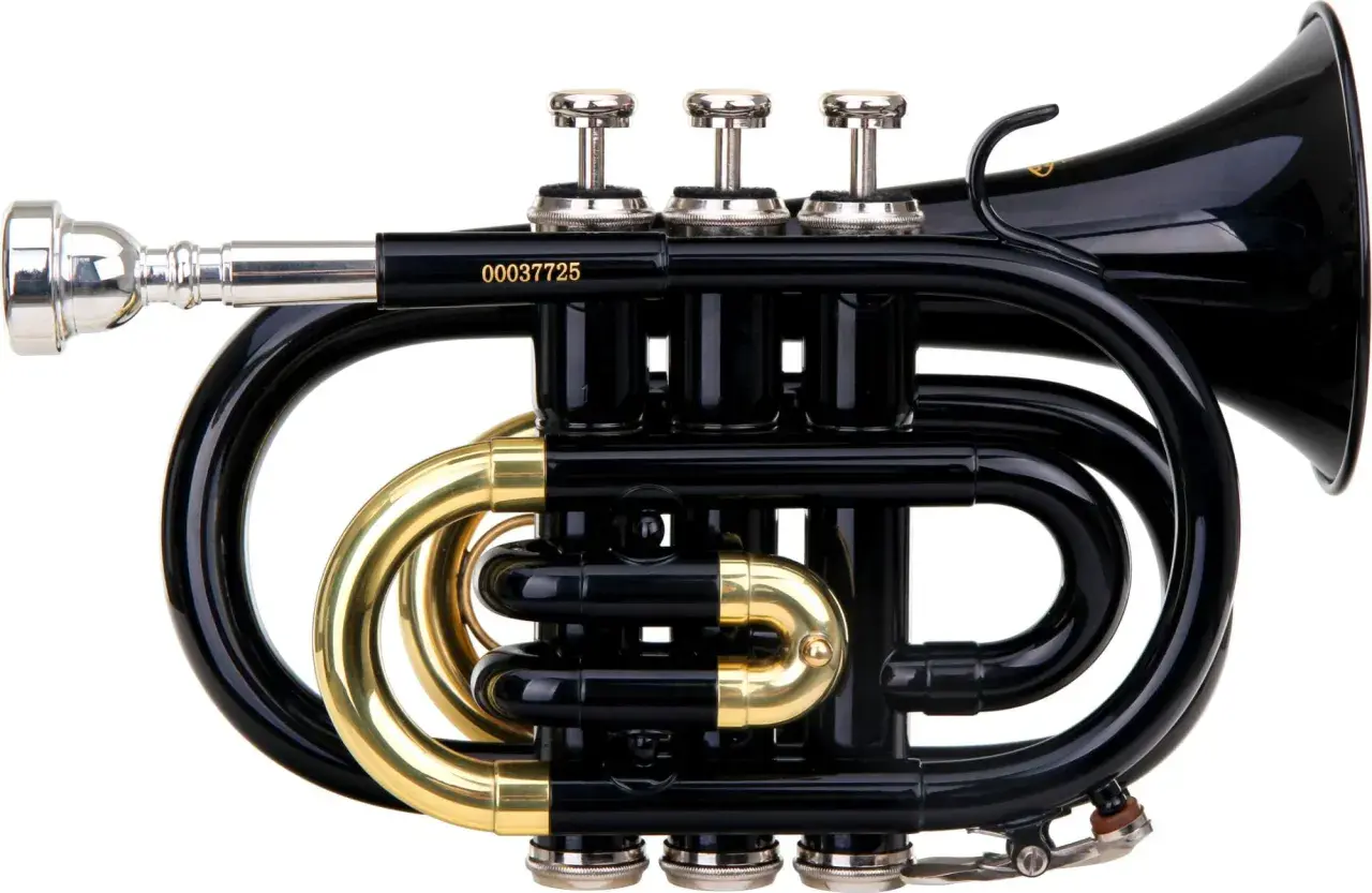 Un petit cornet noir brillant, un type de trompette compact, avec des accents dorés et un embout argenté.