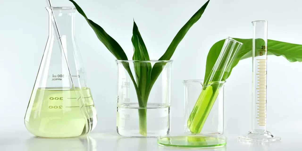 Verre de laboratoire avec des plantes vertes et un liquide jaune, évoquant la recherche sur le collagène végétal.