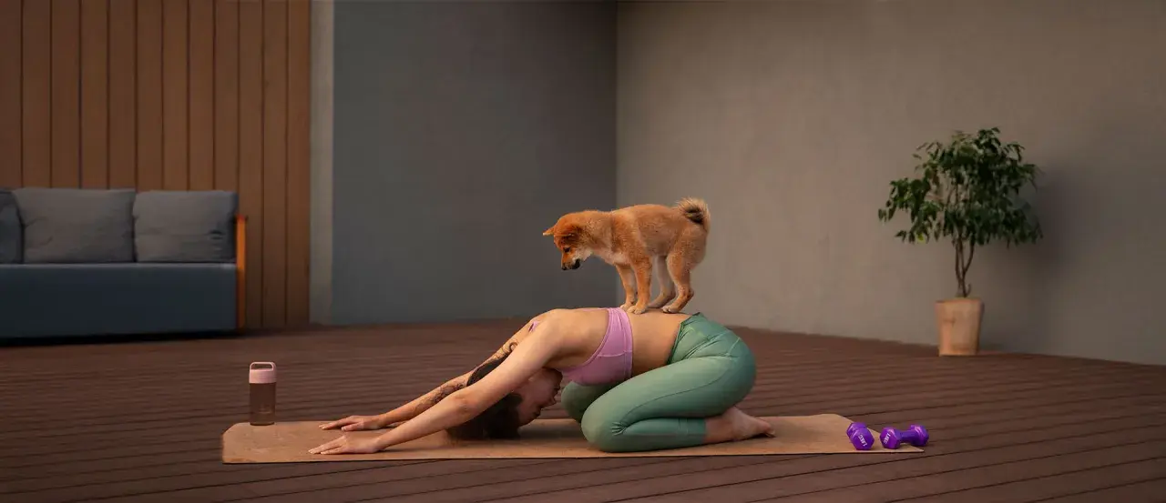 Un cachorro Shiba Inu se para sobre la espalda de una mujer que practica yoga. ¡Una divertida sesión de yoga con perros!