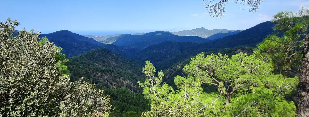 Malowniczy widok na góry Troodos, porośnięte gęstym lasem sosnowym, z widocznym w oddali morzem.