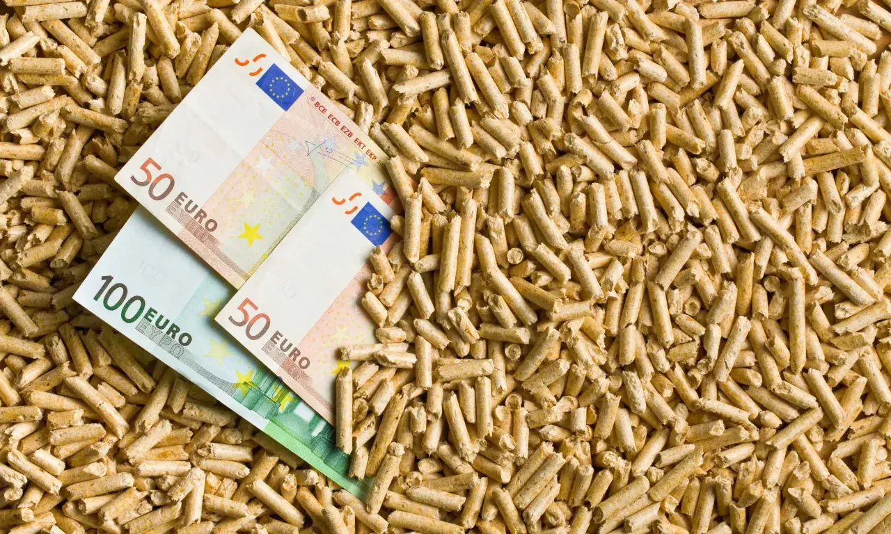 Ceny pelletu drzewnego: Dlaczego warto znać aktualne koszty i wybór