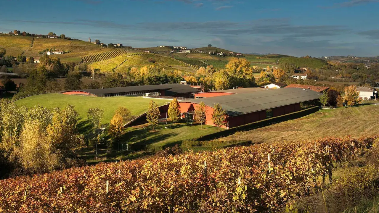 Colline piemontesi in autunno, con le **vite colte Barolo** che tingono il paesaggio di giallo e rosso, e una moderna cantina immersa nel verde.