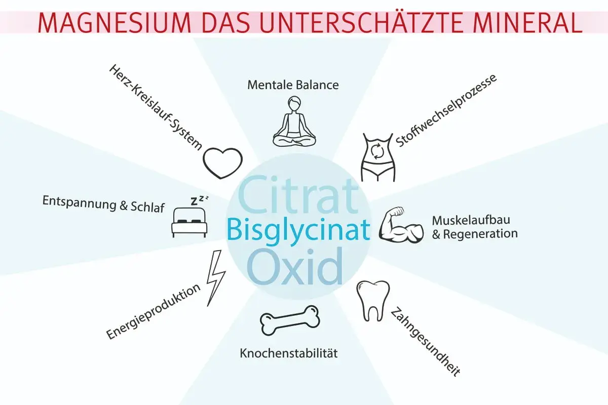 Magnesium unterstützt Muskelaufbau, Regeneration, Energie, Herz, Schlaf, Knochen & Zähne. Ein unterschätztes Mineral!