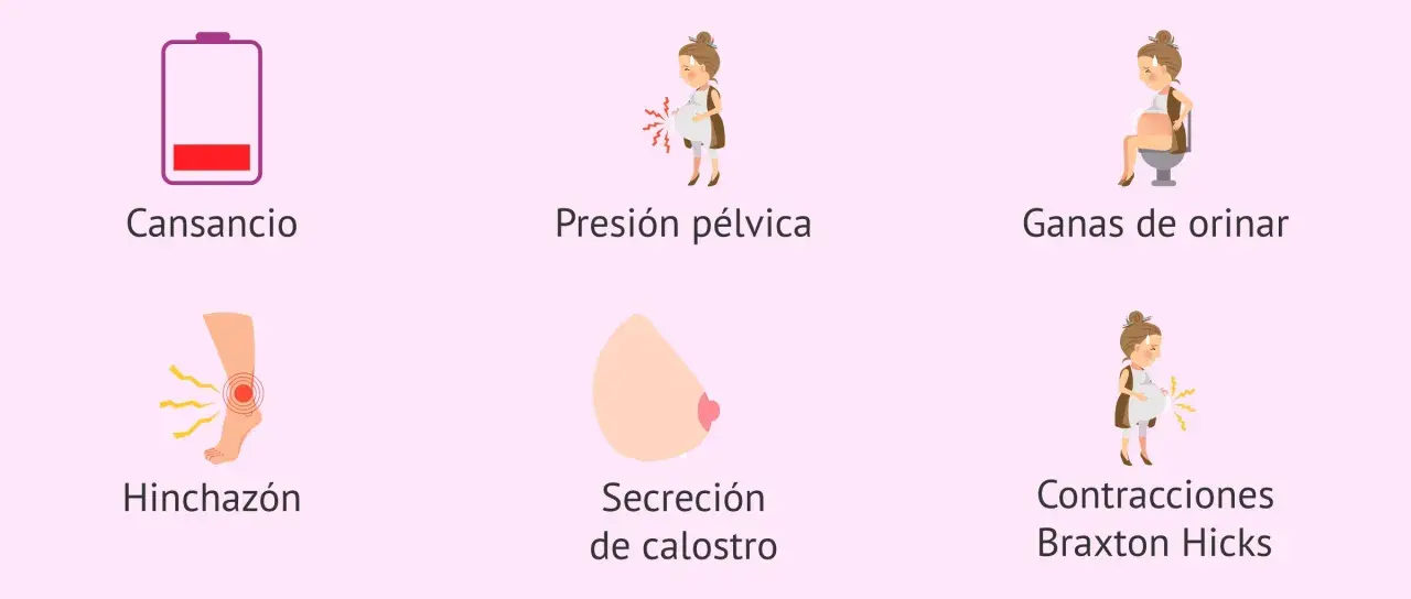Ilustraciones de síntomas de embarazo: cansancio, presión pélvica, ganas de orinar, hinchazón, secreción de calostro y contracciones.