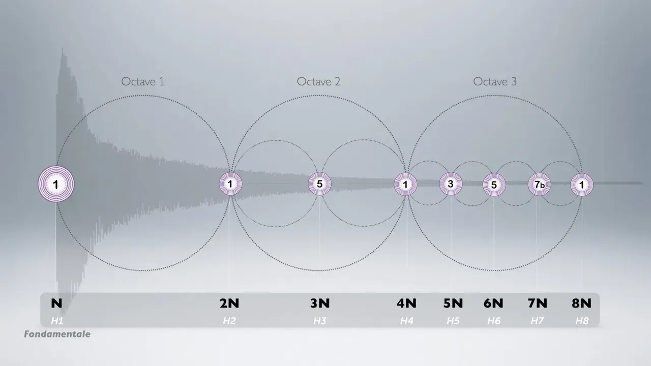 Visualisation des harmoniques de la musique, montrant la fondamentale et ses octaves successives.