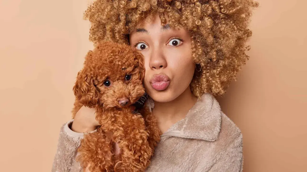 Una chica con pelo rizado abraza a un adorable perro marrón de pelo rizado, ambos con expresiones divertidas.