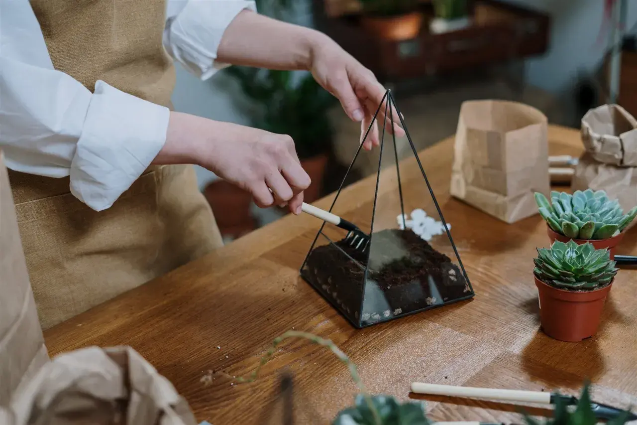 Manos creando un terrario con herramientas de jardinería, parte de manualidades con cosas de casa.