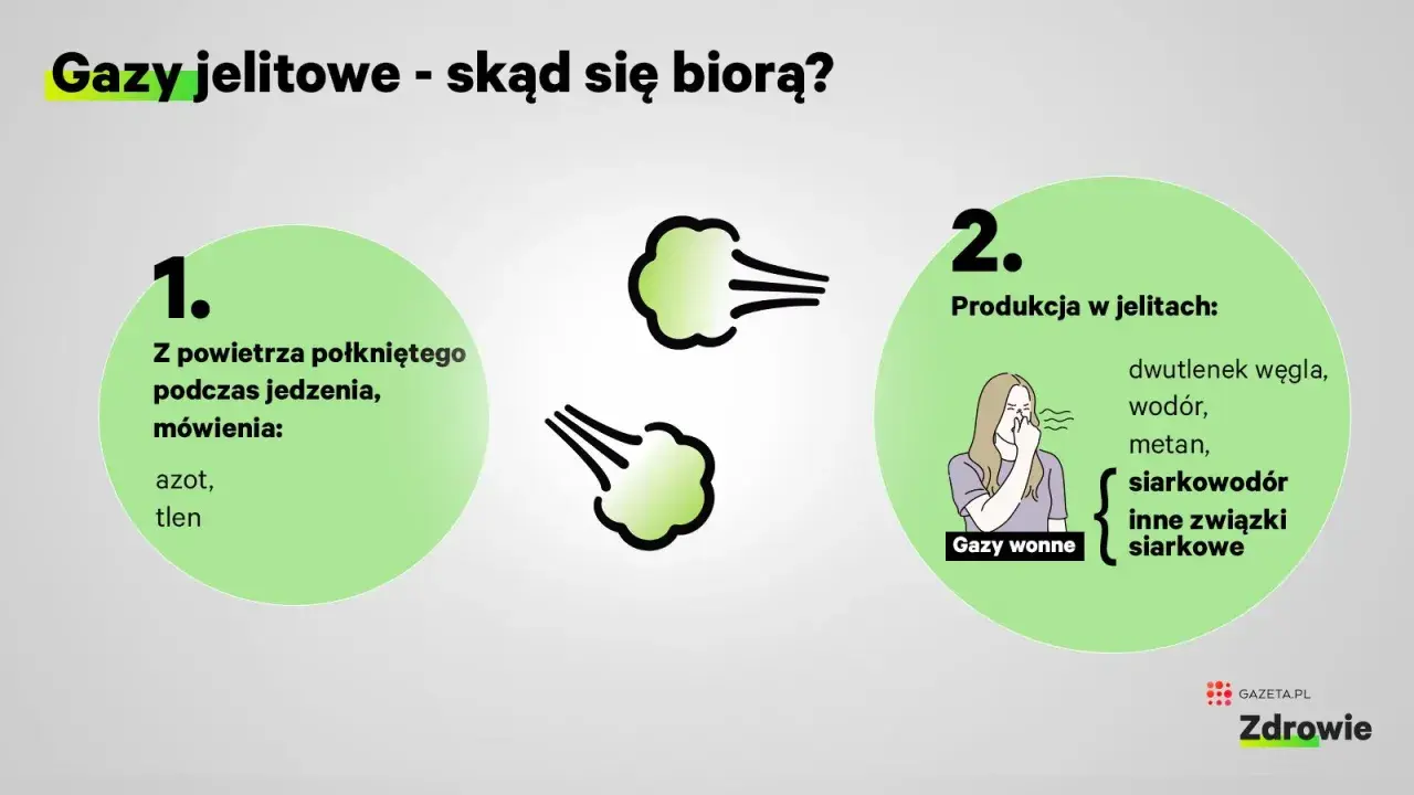 Gazy jelitowe powstają z połkniętego powietrza (azot, tlen) i produkcji w jelitach (dwutlenek węgla, wodór, metan, siarkowodór, inne związki siarkowe).