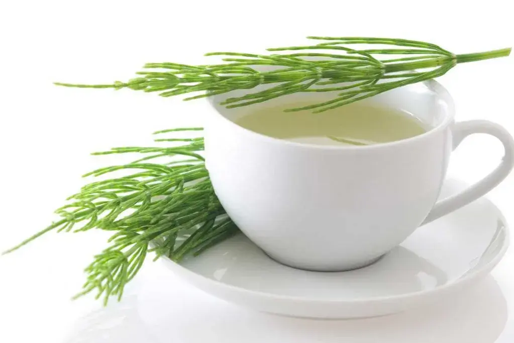 Cómo limpiar el organismo de medicamentos de forma natural y efectiva