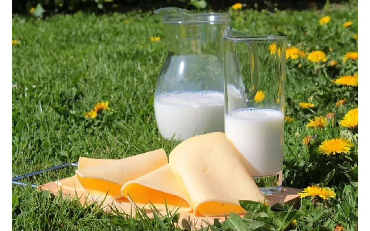 Fette fette di formaggio giallo su un tagliere, accanto a un bicchiere e una caraffa di latte, su un prato fiorito.