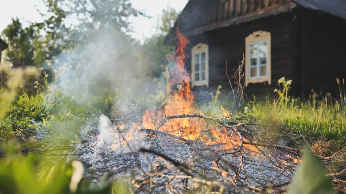 Palenie gałęzi na działce? Uniknij kary! Przepisy i alternatywy