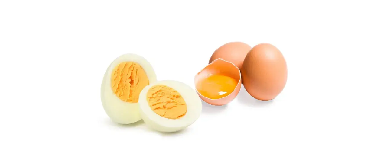 Ein hartgekochtes Ei, halbiert, daneben ein rohes Ei mit flüssigem Dotter. Ein Hund würde sich über ein solches Frühstück freuen.