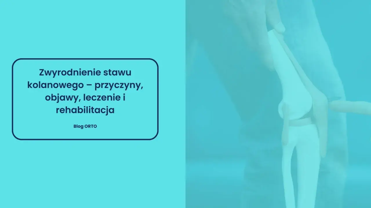 Model stawu kolanowego z tekstem o zwyrodnieniu.