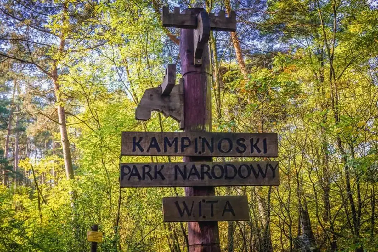 Drewniany drogowskaz "KAMPINOSKI PARK NARODOWY WITA" wita w sercu puszczy kampinoskiej, wśród zieleni drzew.