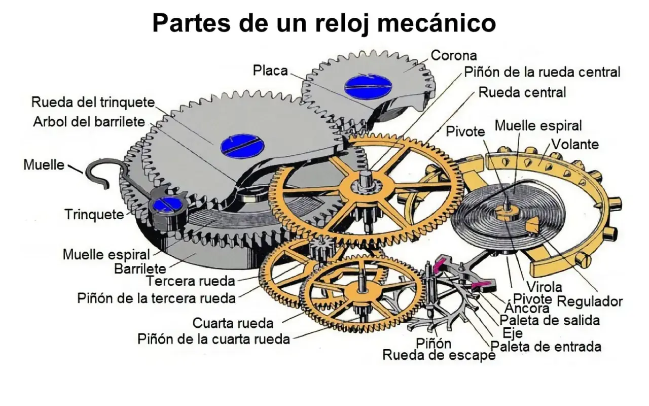 Detalle del mecanismo reloj con engranajes, muelles y pivotes.