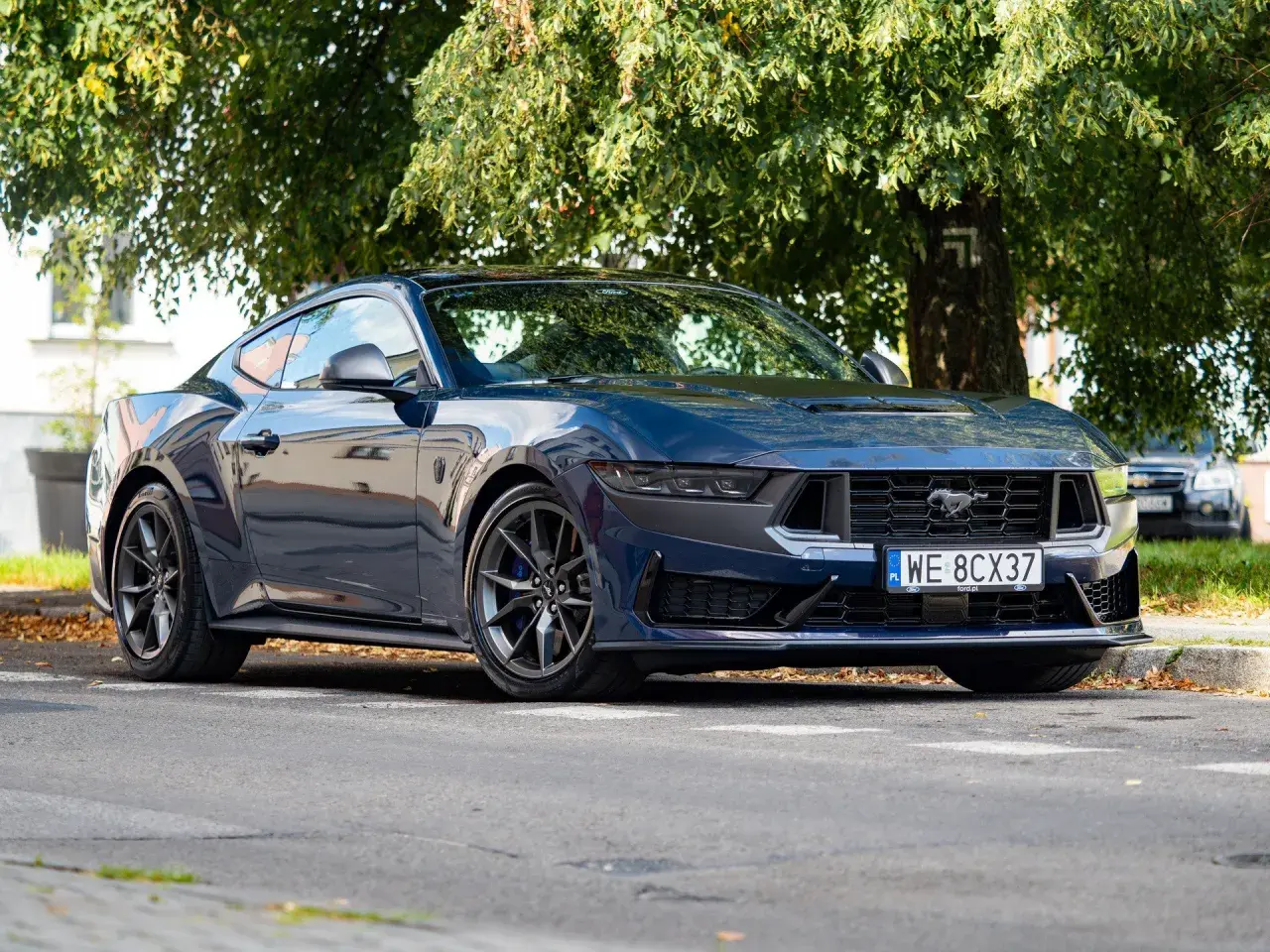 Nowy Ford Mustang 2025 w ciemnoniebieskim kolorze, zaparkowany pod drzewem.