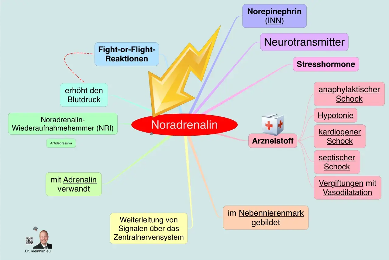 Noradrenalin: Neurotransmitter, Stresshormon, löst Fight-or-Flight aus, erhöht Blutdruck. Seine Wirkung auf die Psyche ist komplex.