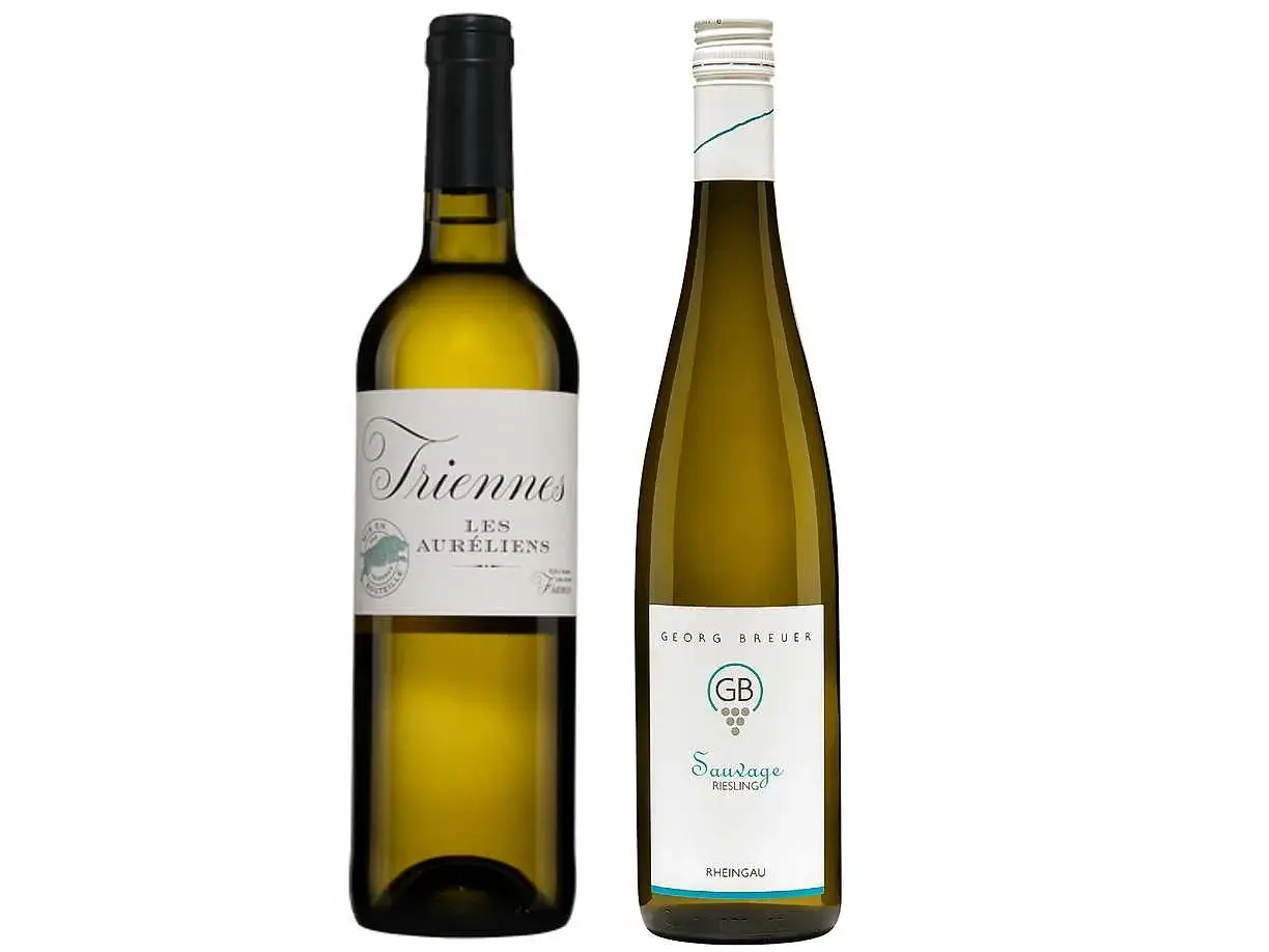 Två flaskor vitt vin, perfekt vin till pilgrimsmusslor. En flaska Triennes Les Auréliens och en flaska Georg Breuer Sauvage Riesling.