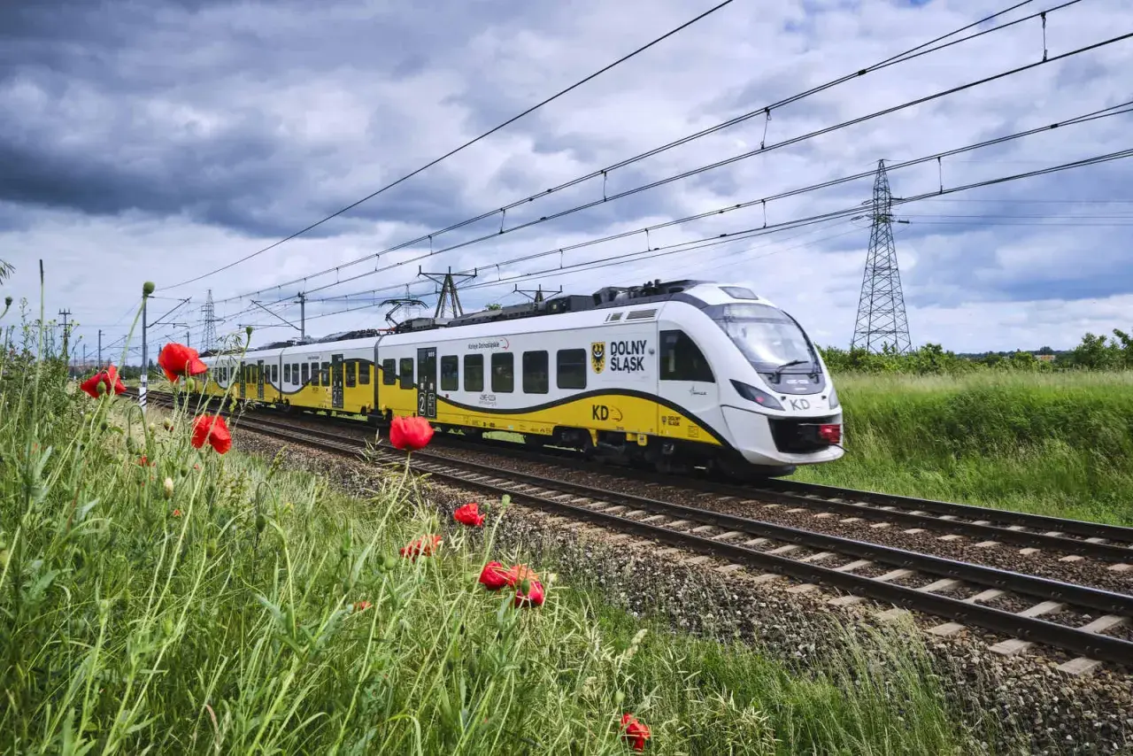 Nowy pociąg Newag Impuls Kolei Dolnośląskich mija pole maków pod burzowym niebem.