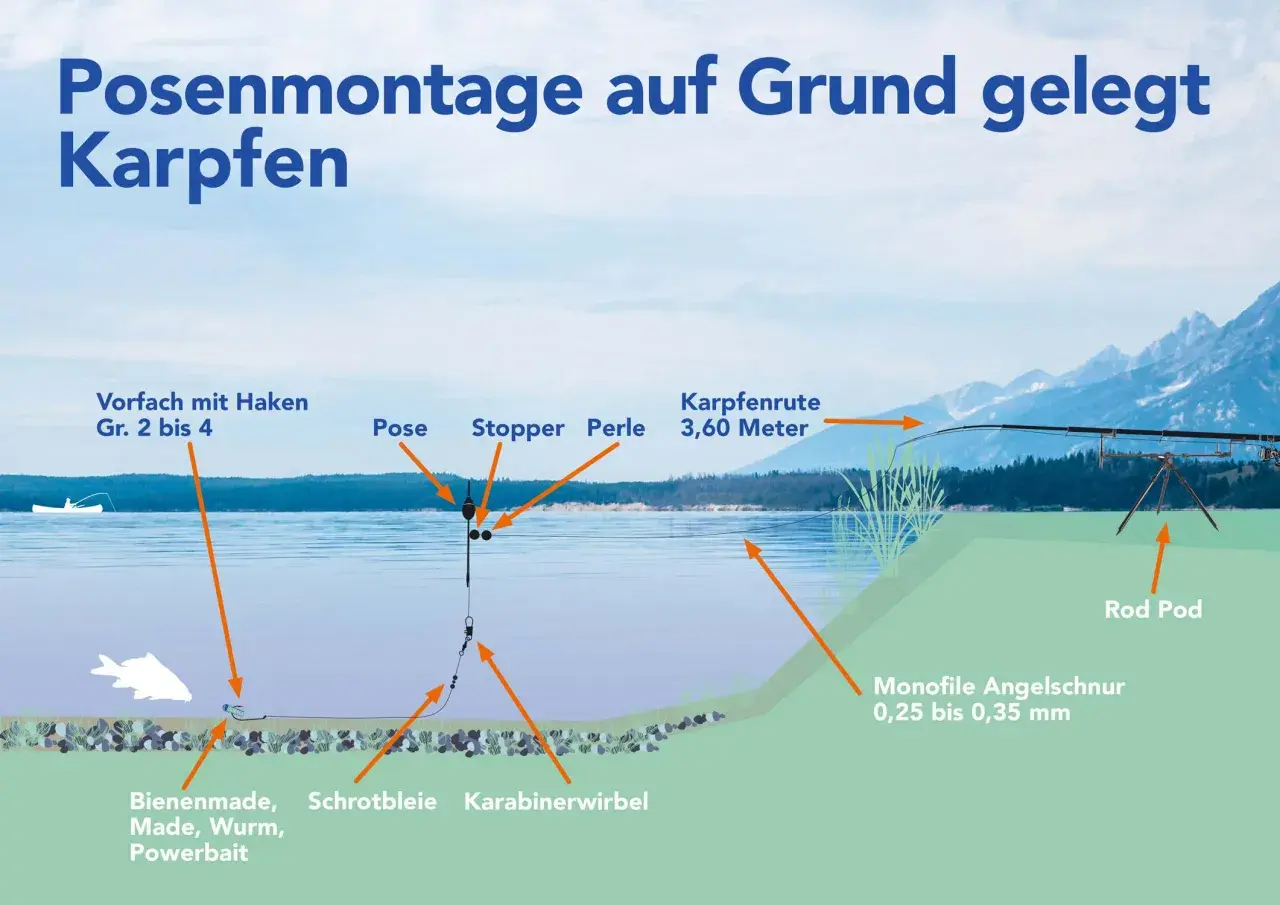 Schema einer Posenmontage für Karpfen: Pose, Schrotblei, Köder (Made, Wurm) und Karpfenrute am Ufer.