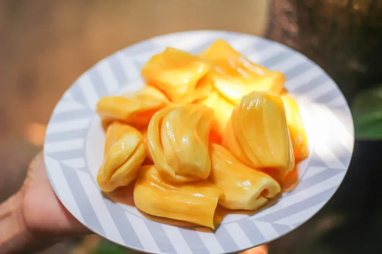 Kawałki jackfruit, czyli owocu chlebowca, na talerzu. Słodki i soczysty, idealny na przekąskę.