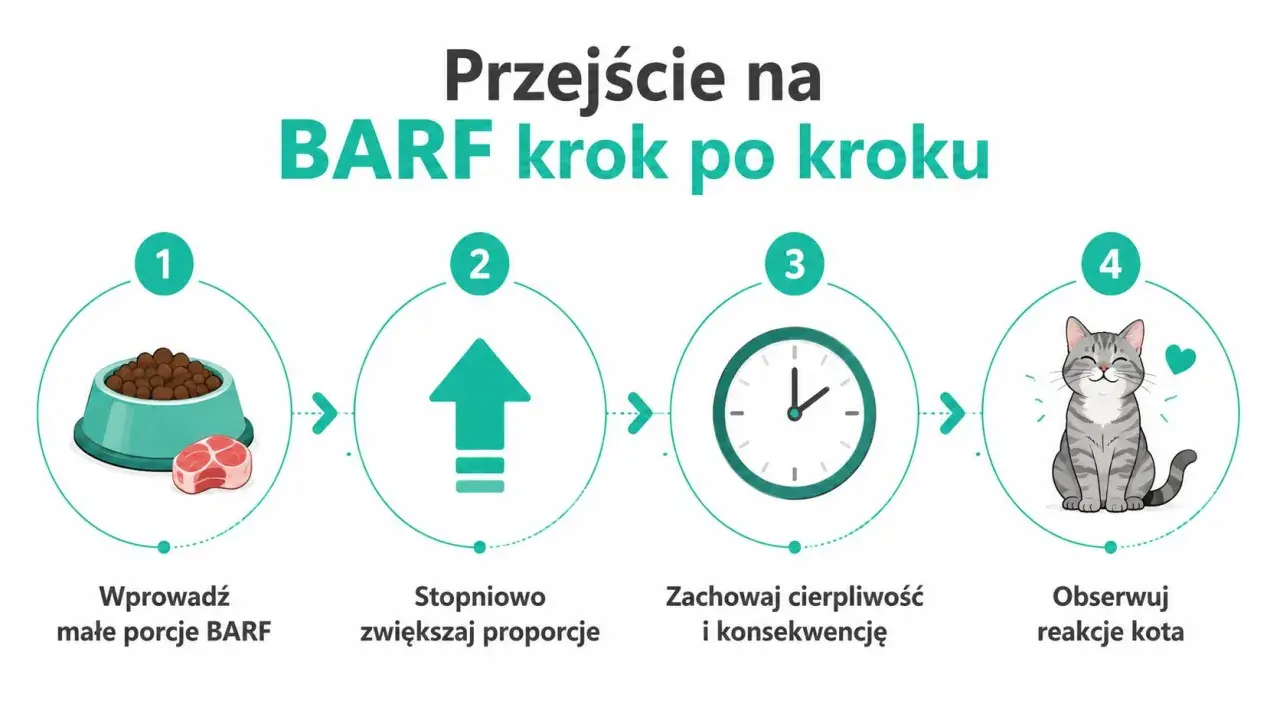 Przejście na BARF krok po kroku: wprowadź małe porcje, stopniowo zwiększaj, zachowaj cierpliwość i obserwuj reakcje kota.