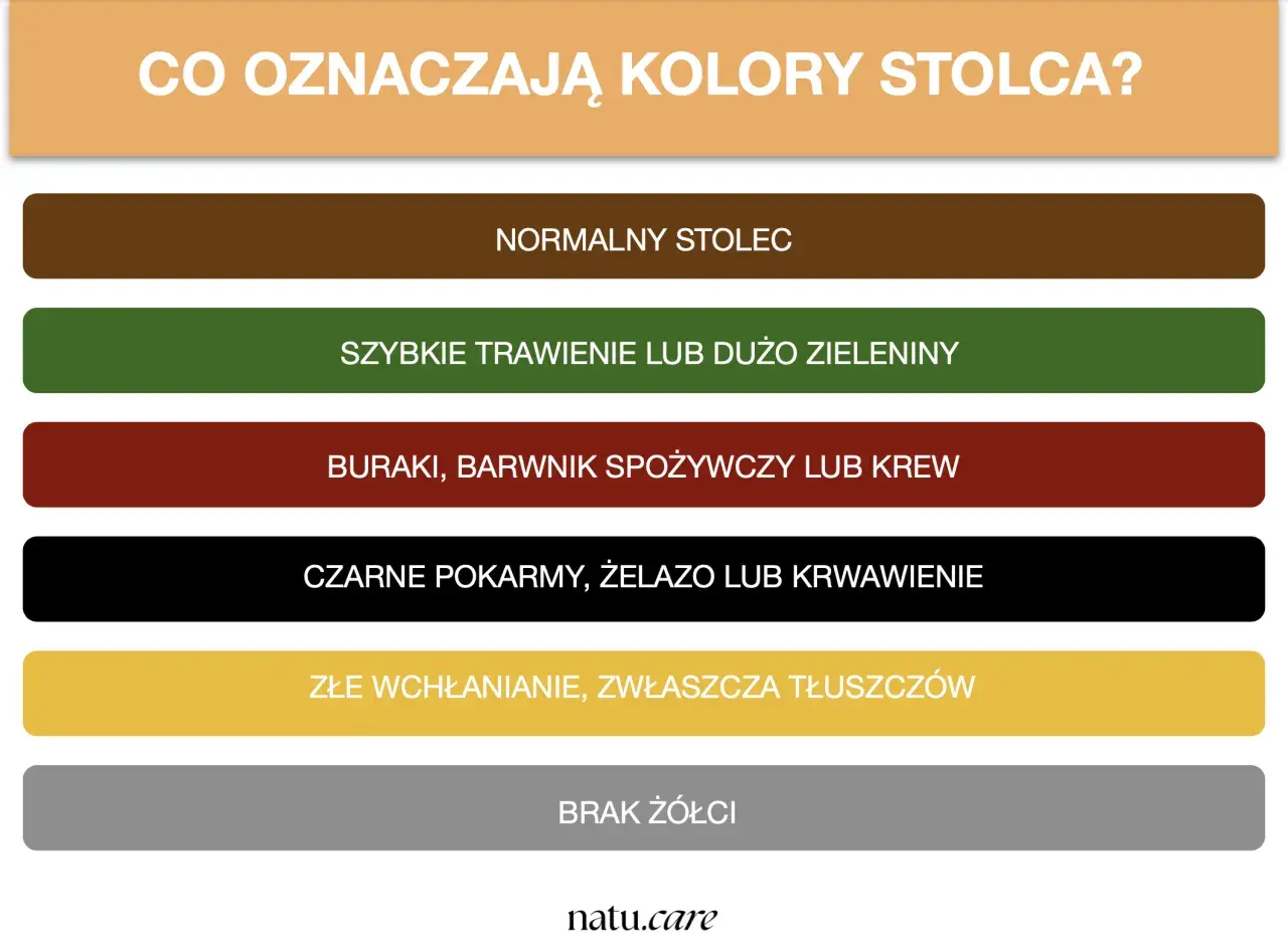 Grafika przedstawia paletę kolorów stolca z opisami: brązowy - normalny, zielony - szybkie trawienie, czerwony - buraki/krew, czarny - żelazo/krwawienie, żółty - złe wchłanianie, szary - brak żółci.