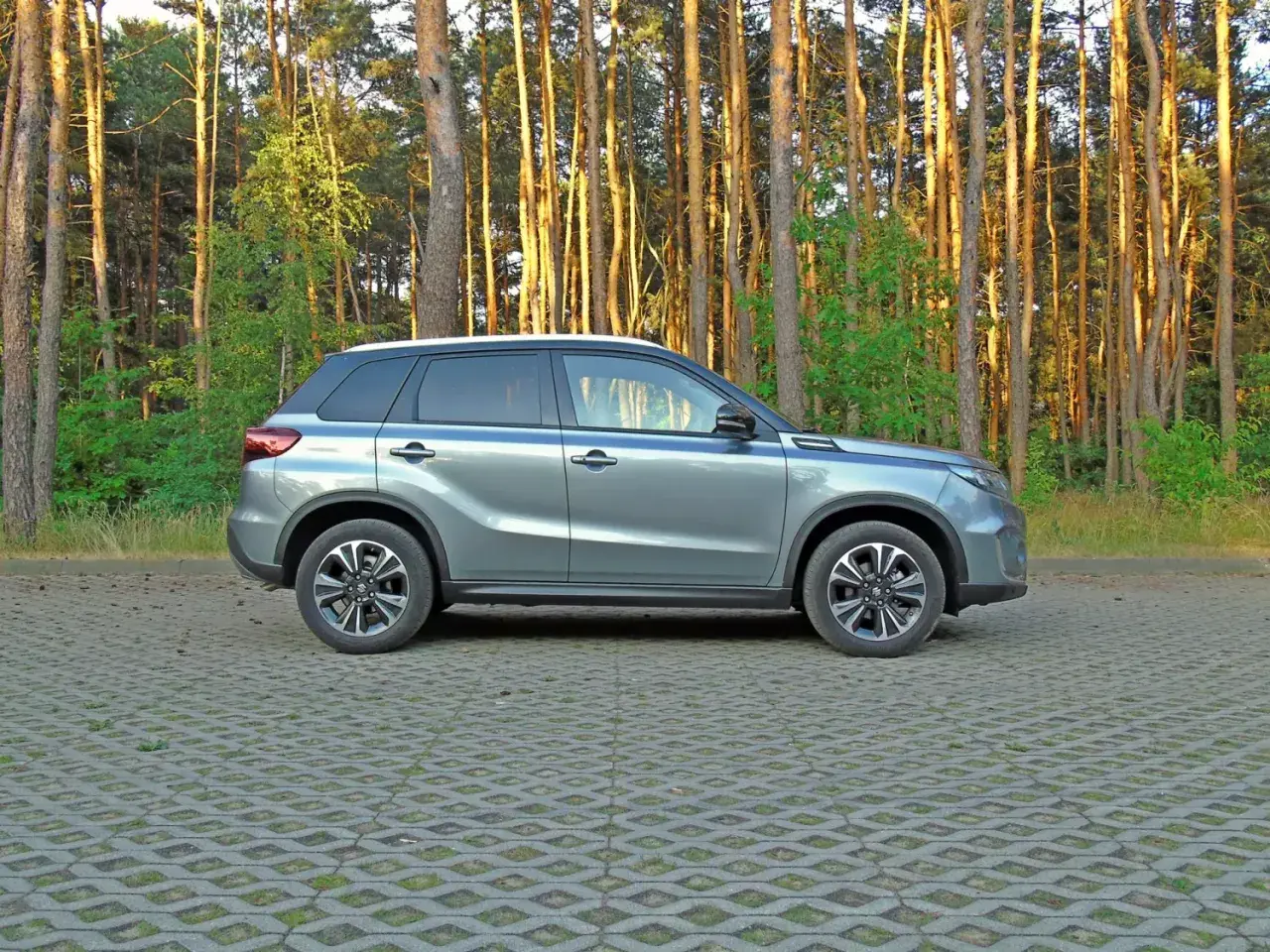 Szary Suzuki Vitara 2023 zaparkowany na tle sosnowego lasu.