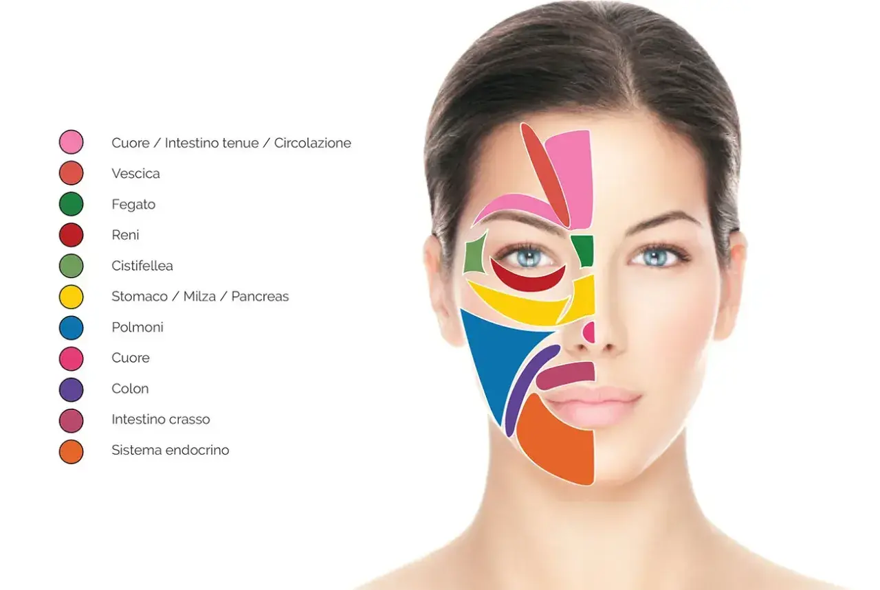 Schema della riflessologia testa: aree colorate sul viso di una donna indicano zone correlate a organi e sistemi, come cuore, fegato, polmoni e sistema endocrino.