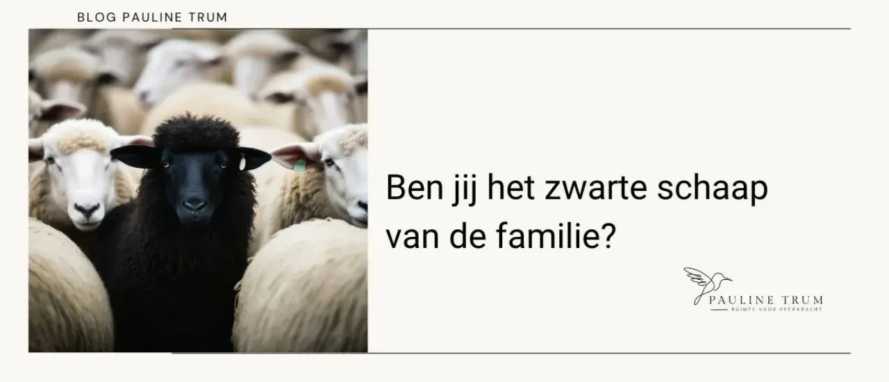Een zwart schaap tussen witte schapen. De tekst vraagt: "Ben jij het zwarte schaap van de familie?" Dit symboliseert het zwarte schaap betekenis van anders zijn.