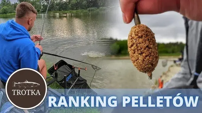 Przynęta Method Feeder: Jak wybrać najlepszą? Poradnik i ranking