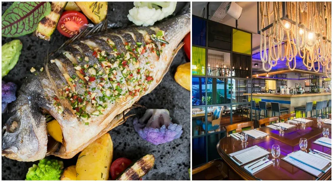 Serock gdzie zjeść – najlepsze restauracje i smaki, które musisz poznać