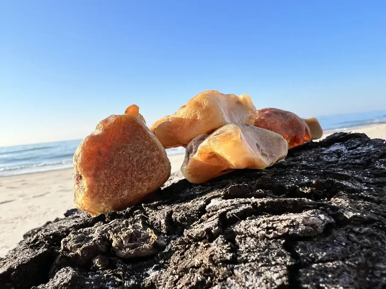 Kawałki bursztynu na ciemnym drewnie, na tle plaży i błękitnego nieba. Tak wygląda bursztyn na plaży, lśniący w słońcu.