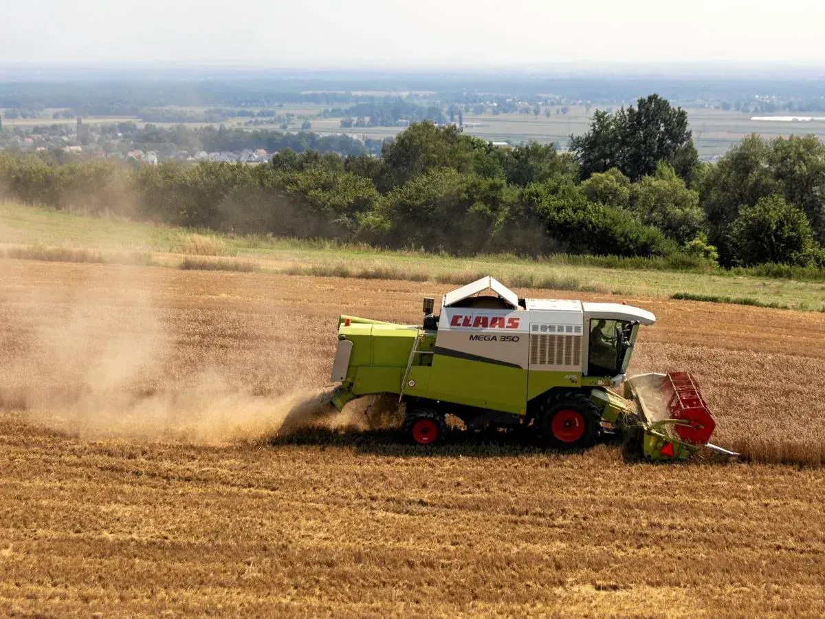 Kombajn zbożowy CLAAS Mega 350 zbiera plony na polu. Dymiące maszyny rolnicze to symbol ciężkiej pracy, która dzięki płatnościom bezpośrednim staje się bardziej opłacalna.