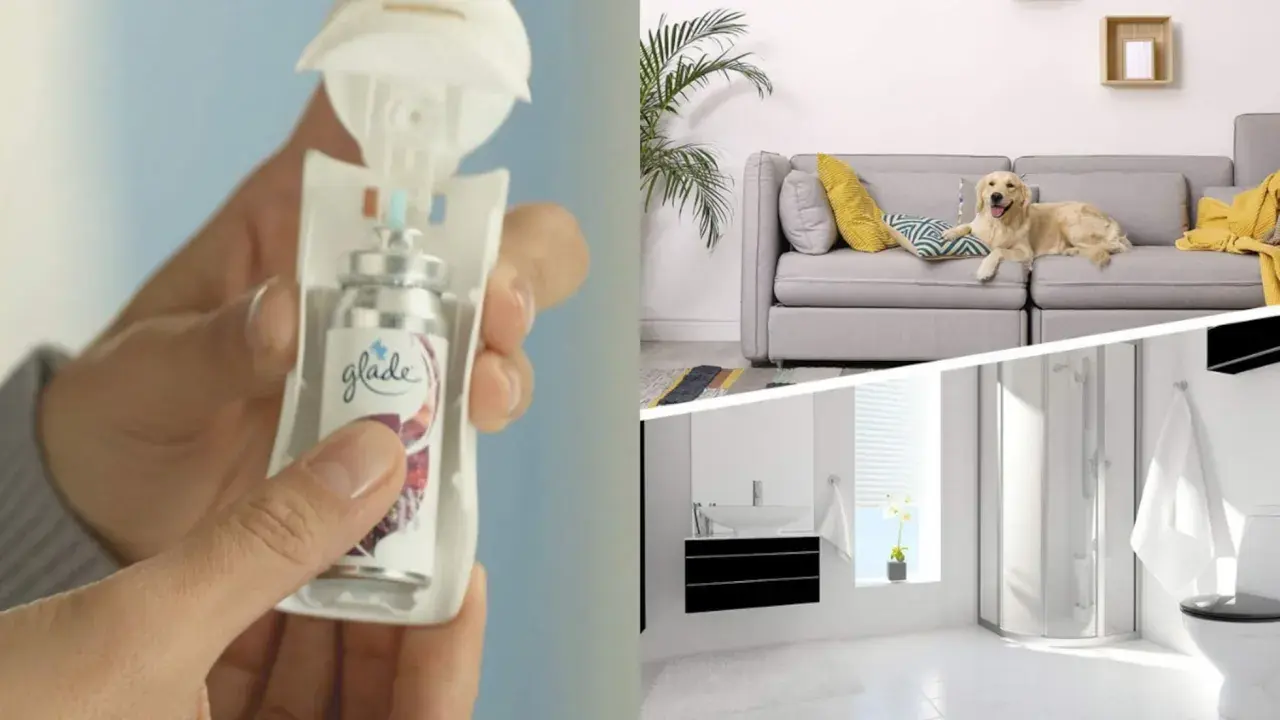 Un ambientador Glade en mano, un perro en el sofá y un baño reluciente. ¡Todo huele a limpio!